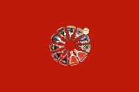 三明市永安回收红酒